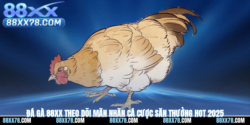 Đá Gà 88XX – Theo Dõi Mãn Nhãn, Cá Cược Săn Thưởng Hot 2025