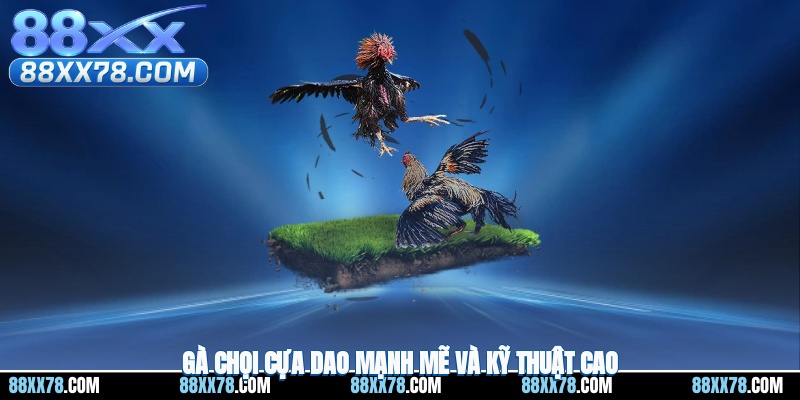 Gà chọi cựa dao mạnh mẽ và kỹ thuật cao