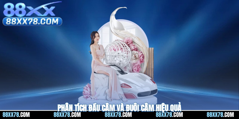 Phân tích đầu câm và đuôi câm hiệu quả